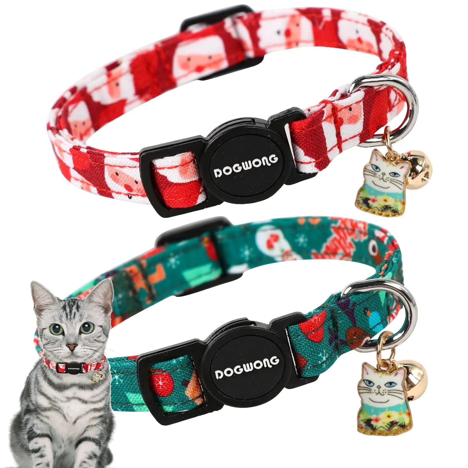 LED Cat Collars – Safe & Stylish Night