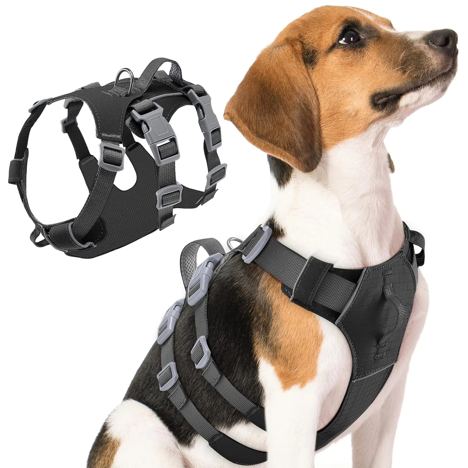 LED Dog Collars – Light-Up & Reflective Night Safety Gear